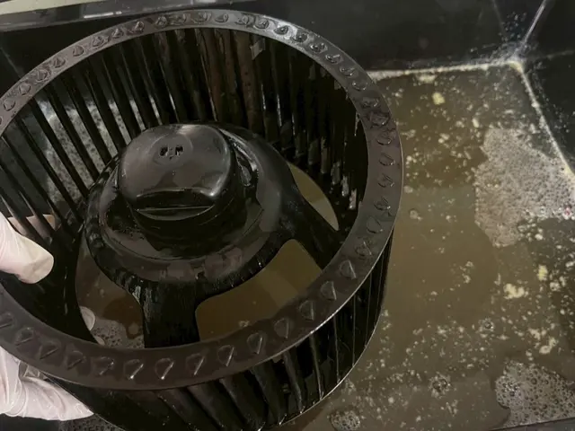 ☆大手清掃会社経験スタッフ☆赤ちゃん・ペットに安心な洗剤使用☆彡サービスの画像