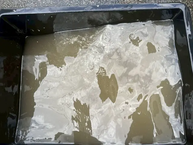 ☆大手清掃会社経験スタッフ☆赤ちゃん・ペットに安心な洗剤使用☆彡サービスの画像