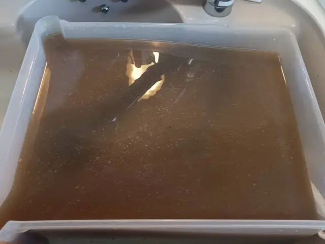 【11月出店】経験豊富！安心してお任せください！レンジフードクリーニングサービスの画像