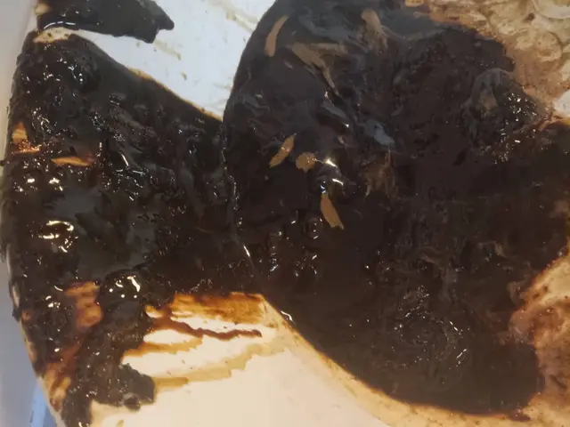 【11月出店】経験豊富！安心してお任せください！レンジフードクリーニングサービスの画像