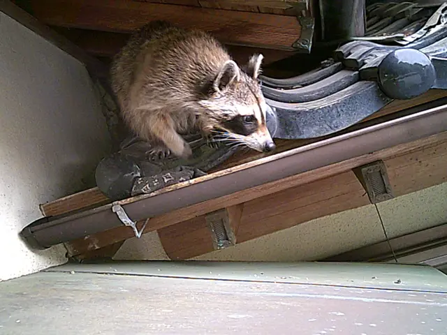 《実績多数！》保証期間の制限無し！施工からアフターフォローまで丁寧に対応◎サービスの画像