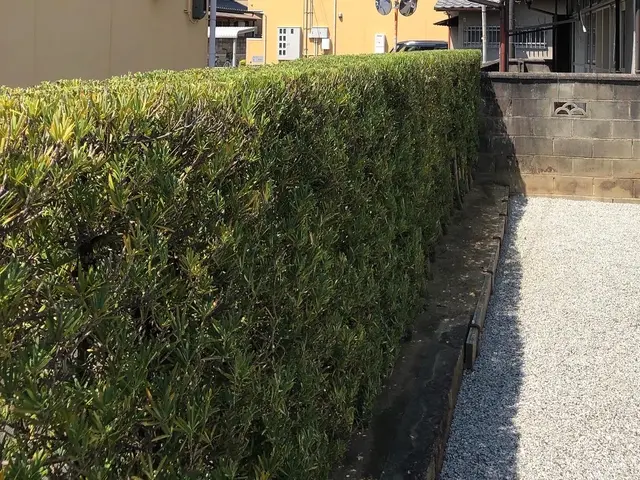 【☆店長のわたしがお伺いします☆】お気軽にご相談ください！！サービスの画像