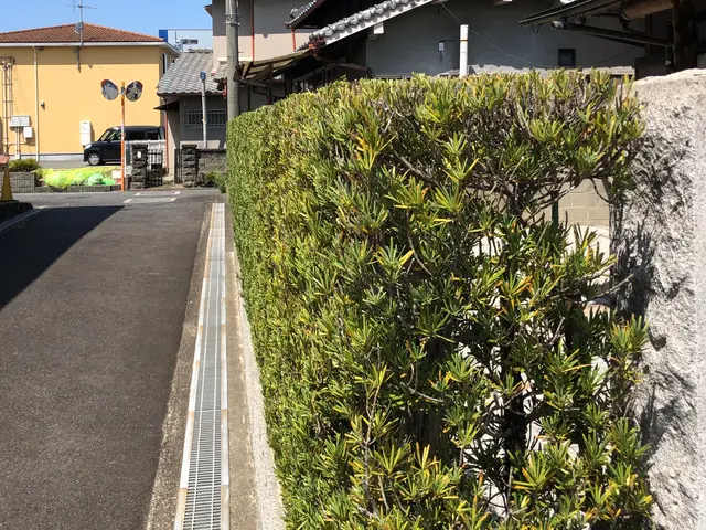 【☆店長のわたしがお伺いします☆】お気軽にご相談ください！！サービスの画像