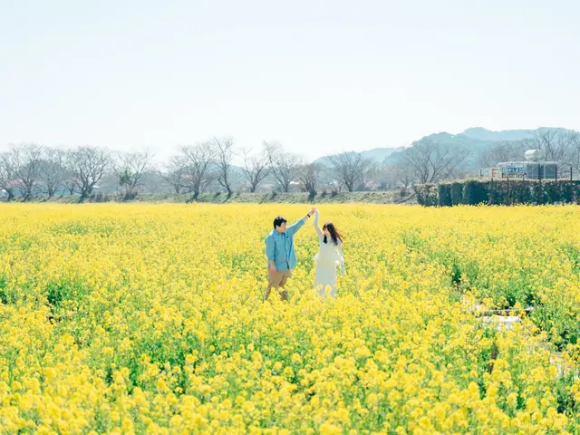 プロの技術でご満足いただけるように心を込めて撮影いたします