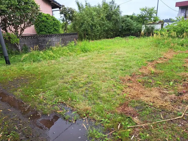 お庭をスッキリ快適に！プロが行う草刈り・芝刈りサービスサービスの画像