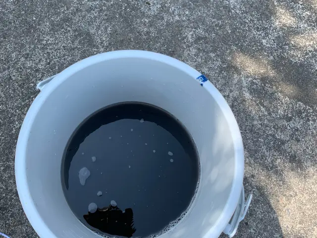 地元業者最安値！　台数割引◎ 県内当社のみ　光触媒抗菌コート無料施工サービスの画像