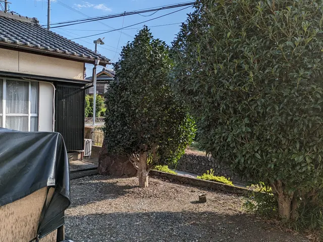 お庭の簡単な剪定をやらせていただきます。低い木の剪定料金は１時間3000円〜サービスの画像