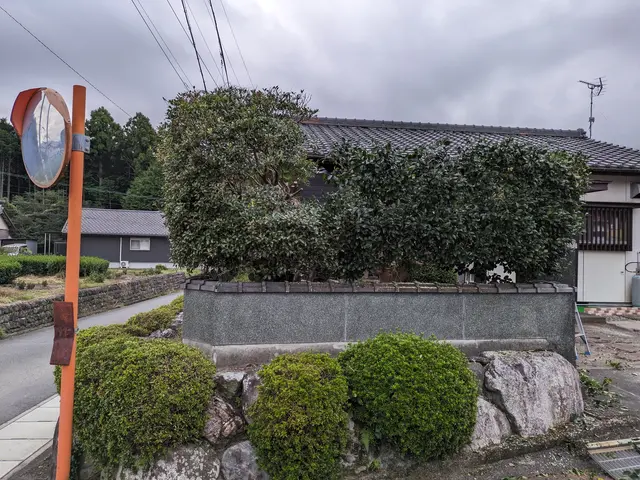 お庭の簡単な剪定をやらせていただきます。低い木の剪定料金は１時間3000円〜サービスの画像