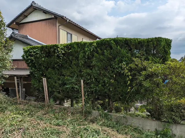 お庭の簡単な剪定をやらせていただきます。低い木の剪定料金は１時間3000円〜サービスの画像