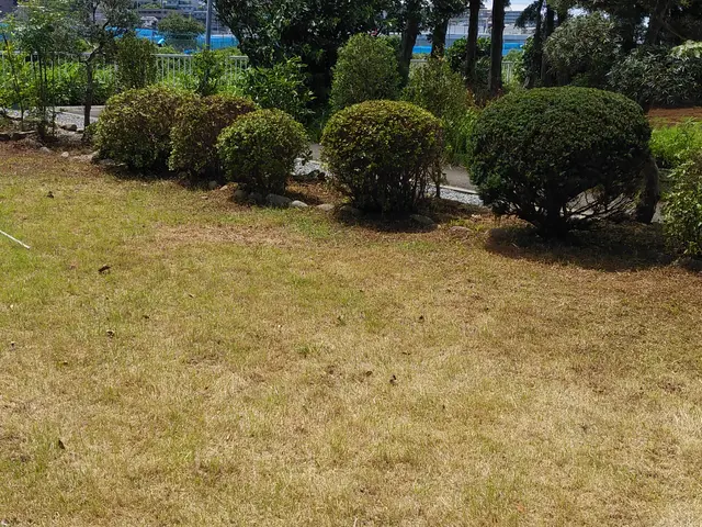 夫婦二人で伺います！業歴30余年の夫と、妻と、真心込めてお手入れします。サービスの画像