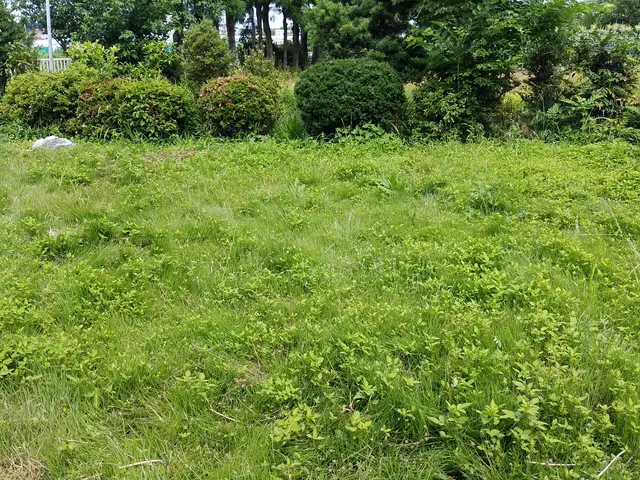 夫婦二人で伺います！業歴30余年の夫と、妻と、真心込めてお手入れします。サービスの画像