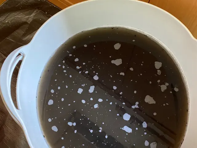 【大手業務経験あり】損害保険加入済み◎プロの技術であなたの空間を輝かせます！サービスの画像