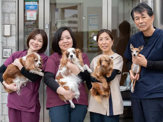 芸能事務所提携カメラマン / やさしい雰囲気で撮影♪ / ペット商業撮影経験あり