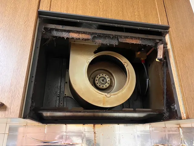 【リピート率の高さが自慢】高圧と洗剤にこだわり◉損害保険加入済み★大手経験あり！サービスの画像