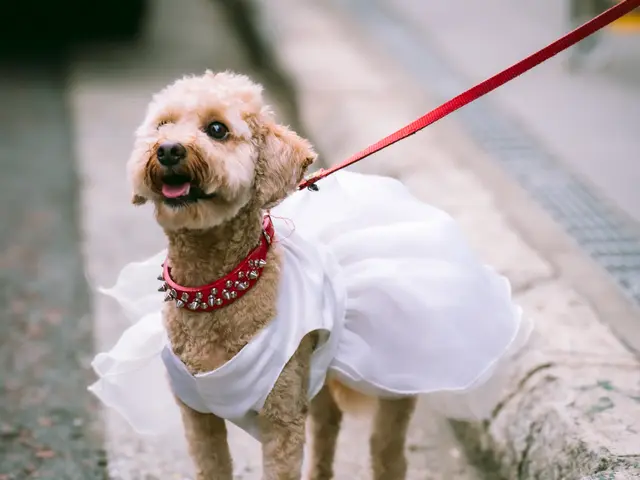 〓全データお渡し〓人生は思い出作り、最高な写真を残しませんか？女性カメラマンサービスの画像