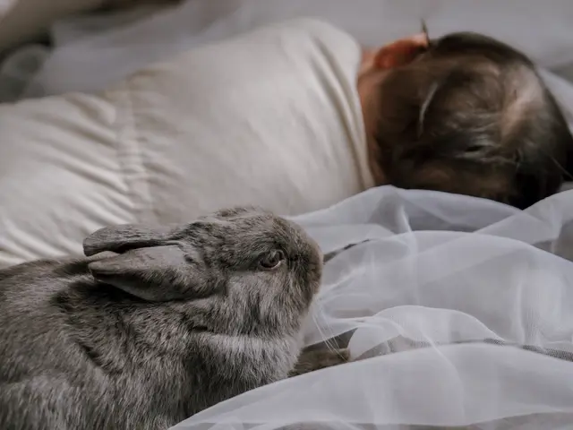 〓全データお渡し〓人生は思い出作り、最高な写真を残しませんか？女性カメラマンサービスの画像