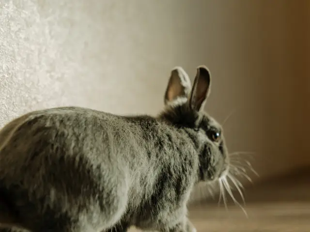 〓全データお渡し〓人生は思い出作り、最高な写真を残しませんか？女性カメラマンサービスの画像