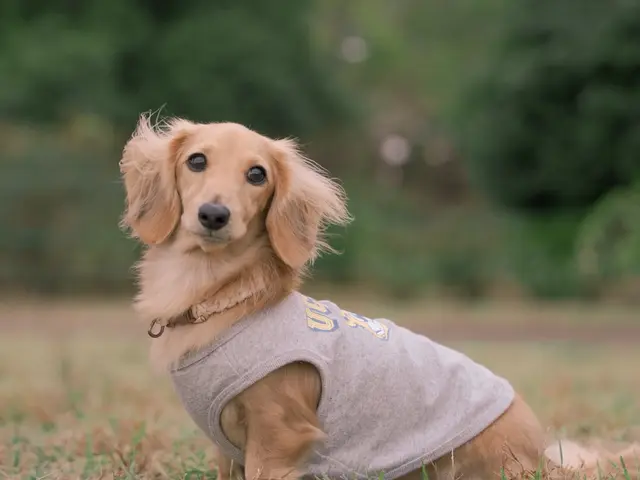 〓全データお渡し〓人生は思い出作り、最高な写真を残しませんか？女性カメラマンサービスの画像