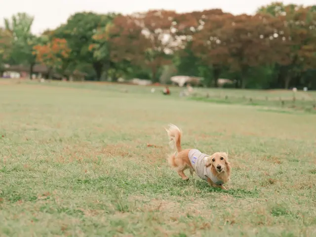 〓全データお渡し〓人生は思い出作り、最高な写真を残しませんか？女性カメラマンサービスの画像