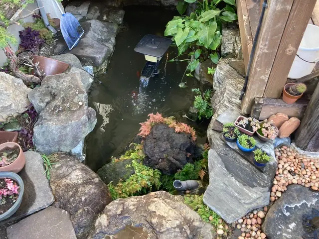 お手入れ放置していませんか？ヘドロ洗浄、水替えで綺麗に☆マイナスイオン効果発揮サービスの画像