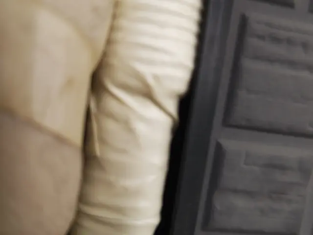 【業歴19年の実績】◎AC点検のみなら9900円！！(作業は実費頂きます)サービスの画像