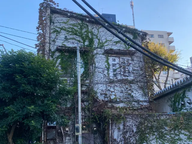 外壁が傷まないように蔦をはらいます！高所や電線にからんだツタもお任せくださいサービスの画像