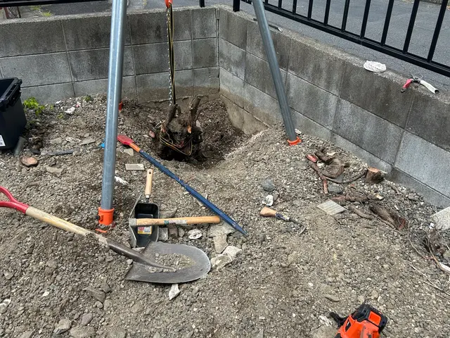 【重機不要】ロープ木登りで高木伐採。低木も丁寧に対応いたします。サービスの画像