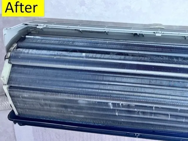 消臭抗菌無料！天然エコ洗剤を中心に使用。赤ちゃん・ペットも安全・安心です。サービスの画像