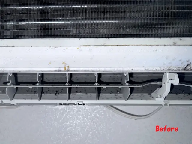 消臭抗菌無料！天然エコ洗剤を中心に使用。赤ちゃん・ペットも安全・安心です。サービスの画像