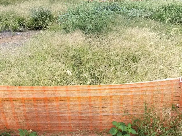お家回りの草むしり！お隣さんの迷惑になる前にお任せ下さい！除草剤散布も料金内！サービスの画像