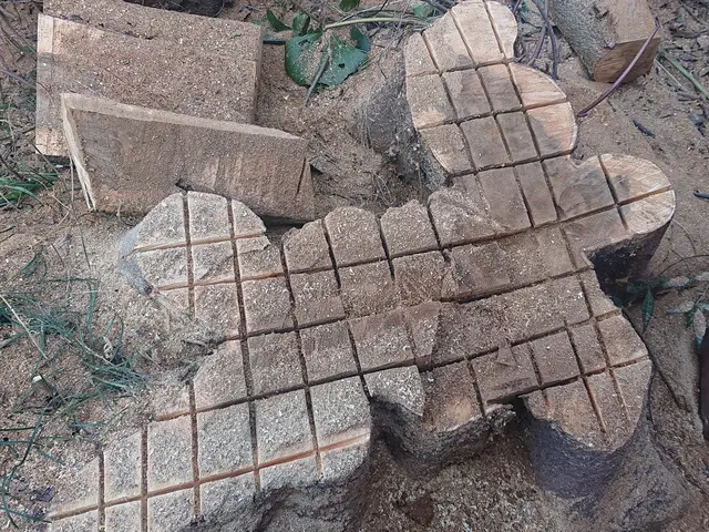 ＜年中無休＞お庭のことならなんでもご相談ください！気さくな若手庭師がお伺いしますサービスの画像