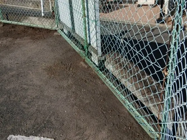 新年、1月は気持ちよくスタートしたい♪大掃除できなかった所は私にお任せください！サービスの画像