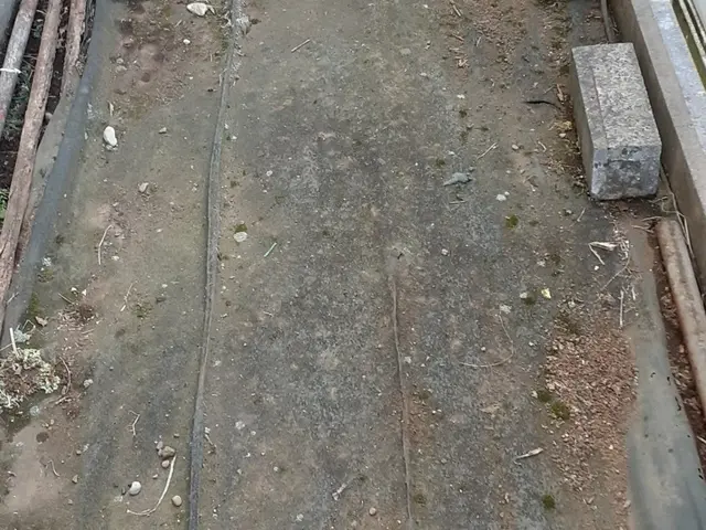 「雑草という名の草はない！」森林インストラクター岳が目指す夏も涼しげな草原です。サービスの画像