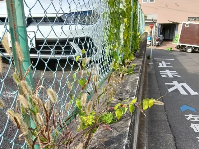 新年、1月は気持ちよくスタートしたい♪大掃除できなかった所は私にお任せください！サービスの画像