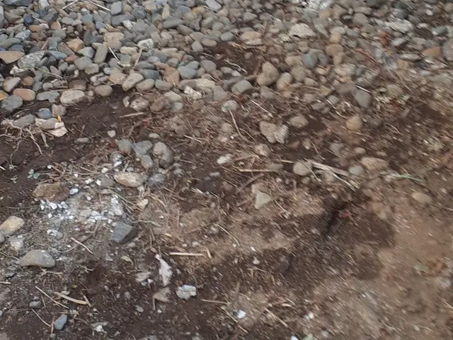 「雑草という名の草はない！」森林インストラクター岳が目指す夏も涼しげな草原です。サービスの画像