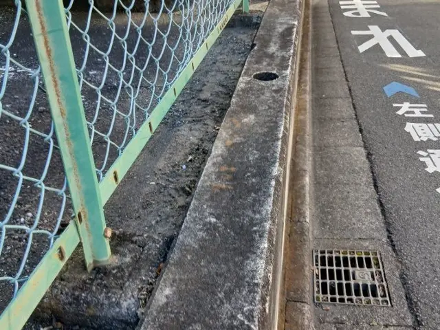 新年、1月は気持ちよくスタートしたい♪大掃除できなかった所は私にお任せください！サービスの画像