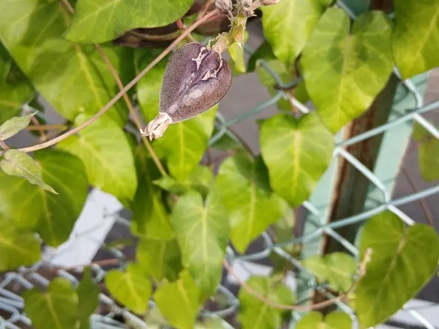 新年、1月は気持ちよくスタートしたい♪大掃除できなかった所は私にお任せください！サービスの画像
