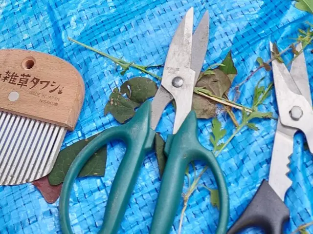 「雑草という名の草はない！」森林インストラクター岳が目指す夏も涼しげな草原です。サービスの画像