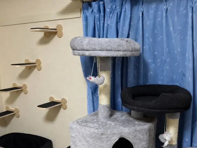 お客様のご要望にそった猫部屋の大工リフォームを提供しますサービスの画像