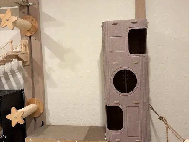 キャットタワー組立、その他高い場所へ登れる施設を大工経験ある私達にお任せくだサービスの画像