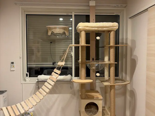 キャットタワー組立、その他高い場所へ登れる施設を大工経験ある私達にお任せくだサービスの画像