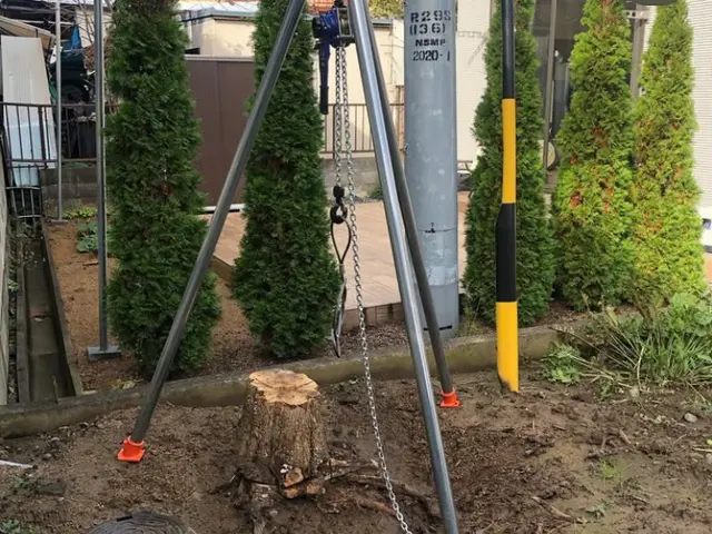 困った庭木の伐採・抜根すぐ対応！危ない庭木お任せください！サービスの画像