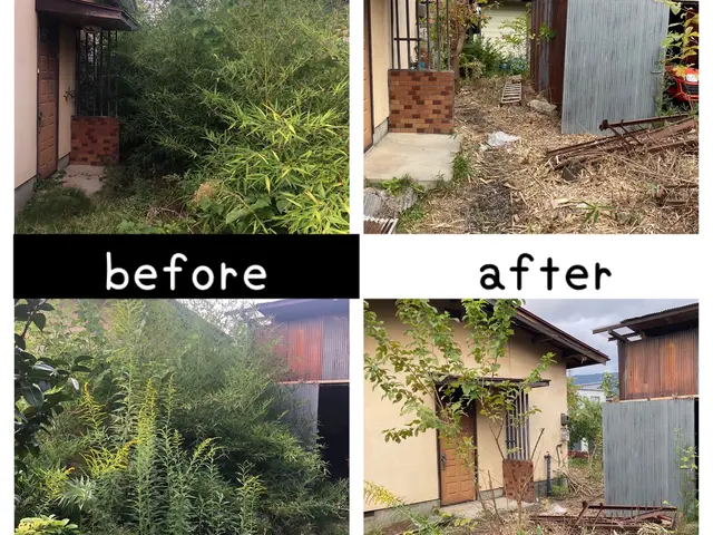 困った庭木の伐採・抜根すぐ対応！危ない庭木お任せください！サービスの画像