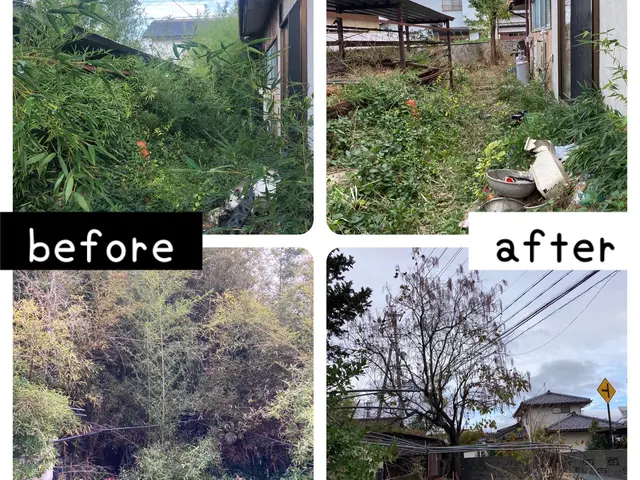 困った庭木の伐採・抜根すぐ対応！危ない庭木お任せください！サービスの画像