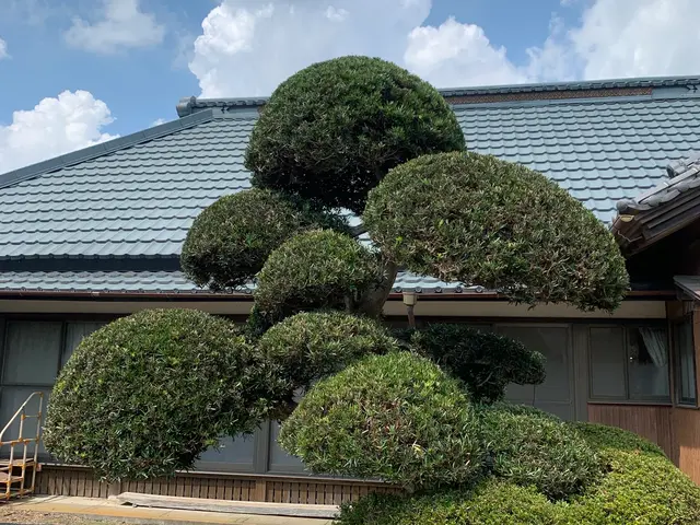 《土日祝のご予約歓迎！》◎庭園管理士が対応いたします。サービスの画像