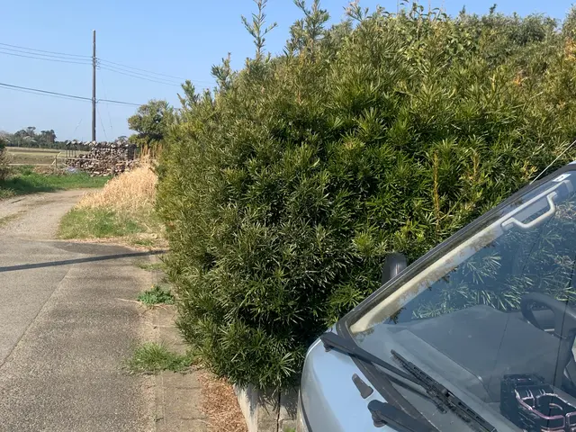 《土日祝のご予約歓迎！》◎庭園管理士が対応いたします。サービスの画像