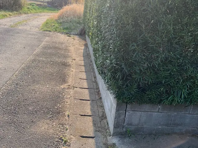 《土日祝のご予約歓迎！》◎庭園管理士が対応いたします。サービスの画像