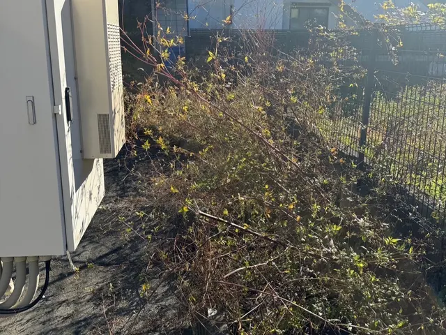 行政施設や企業敷地内の除草、剪定実績多数あり！サービスの画像