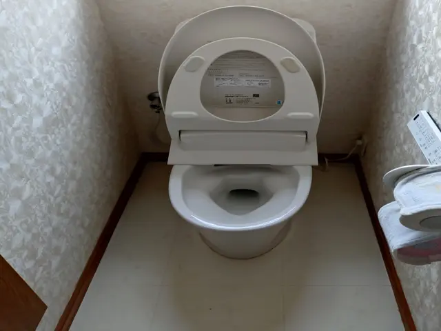 【働くママ・シニアに人気】自分では触りたくない縁の裏までピカピカに！サービスの画像