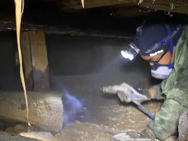 滋賀県シロアリ駆除★自社作業の為価格は安く設定!5年間アフターサービス★サービスの画像